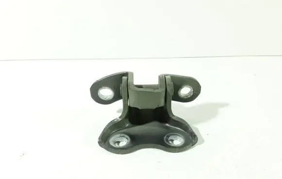 Toyota C-HR I Front door lower hinge 