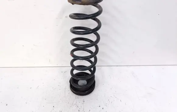 Ford Kuga II Rear coil spring