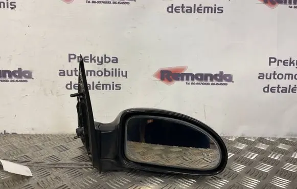 Ford Focus Manual wing mirror 3004534