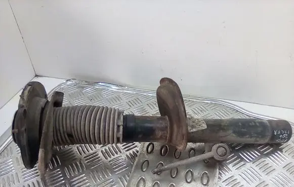 Peugeot 206 Front shock absorber/damper