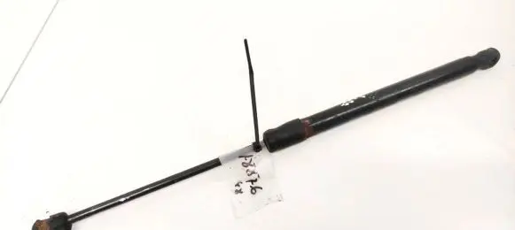 Volkswagen PASSAT B6 Tailgate/trunk strut/damper 3C9827550C