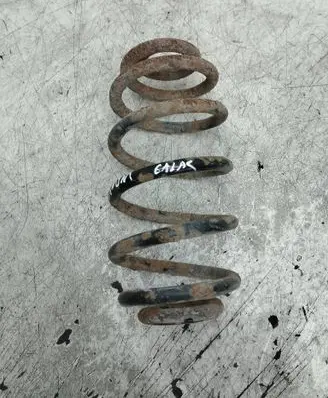 Rear coil spring