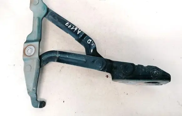 Tailgate/trunk/boot hinge