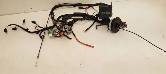 Dacia Jogger Wiring harness 