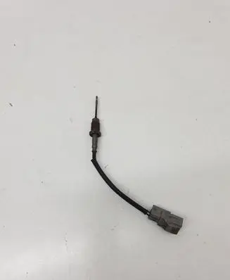 Toyota RAV 4 (XA30) Exhaust gas temperature sensor