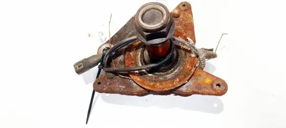 Renault Scenic III - Grand scenic III Stub axle 260x30
