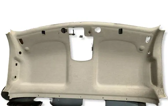 Renault Master III Headlining 739010101R