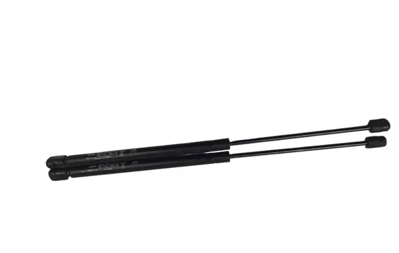 Tailgate/trunk strut/damper
