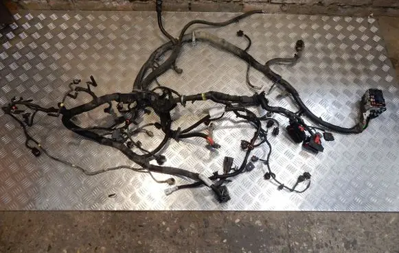 Engine installation wiring loom