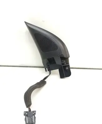 Front door high frequency speaker