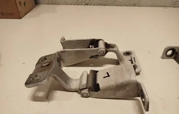 Renault Kangoo II Front door hinge set 