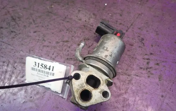 Seat Alhambra (Mk1) EGR valve 722574120