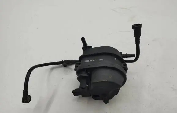Citroen C3 Fuel filter 