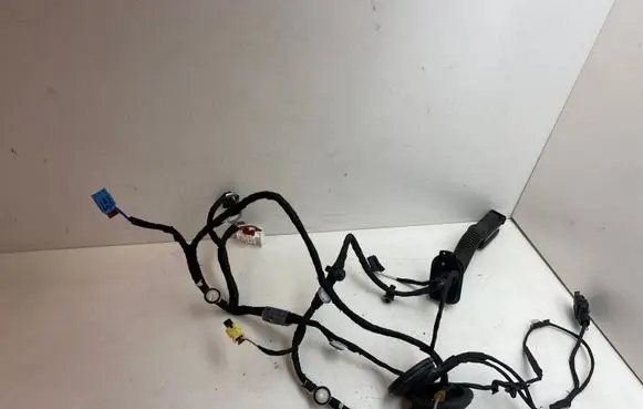 Audi A4 S4 B9 Front door wiring loom 8W0971030AK