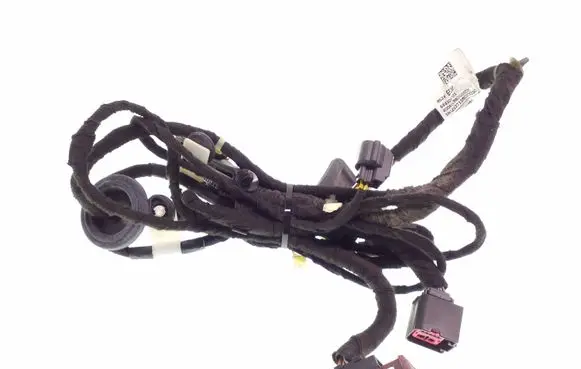 Front door wiring loom