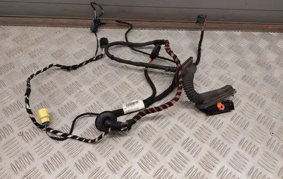 Volkswagen PASSAT CC Front door wiring loom 3C8971121CD