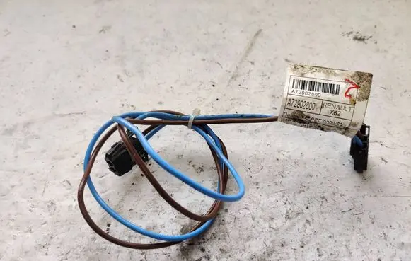 Other wiring loom