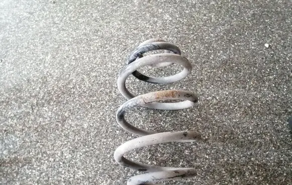 Volkswagen PASSAT B5 Rear coil spring