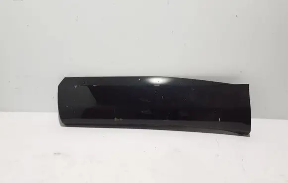 Renault Austral Rear door trim (molding) 828213826R