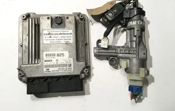 Hyundai Santa Fe Engine ECU kit and lock set 391182F440 0281017541 391032F440