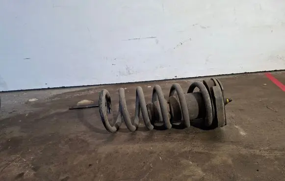 Rear coil spring