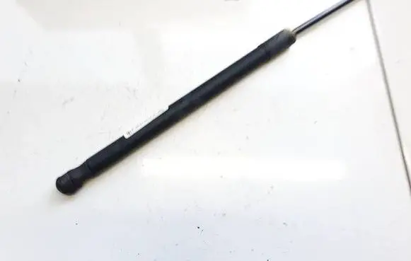 Tailgate/trunk strut/damper