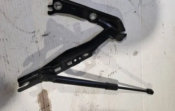 Volkswagen Tiguan Engine bonnet/hood hinges 571823301A