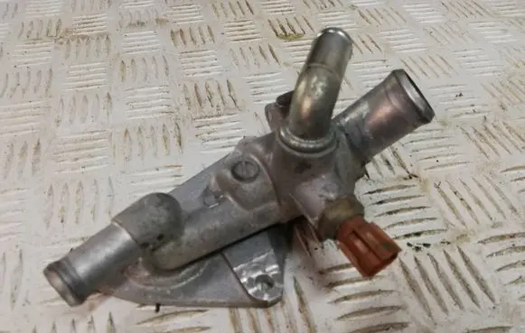 Thermostat/thermostat housing