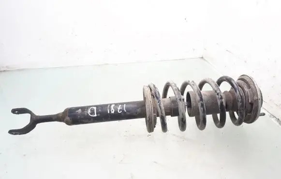Front shock absorber with coil spring