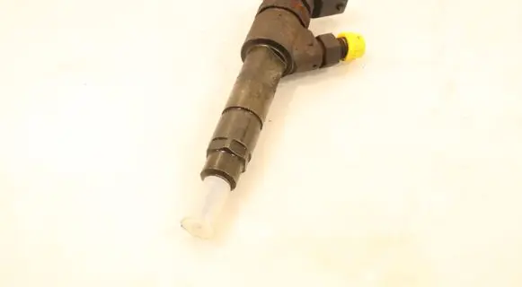 Fiat Ducato Fuel injector 0445120002