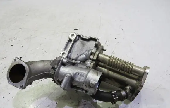 Nissan Juke I F15 EGR valve cooler GMAUTO4574097