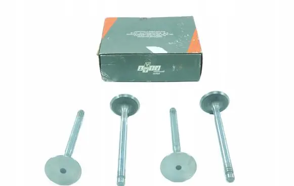 Fiat Uno Valve oil control 50005953