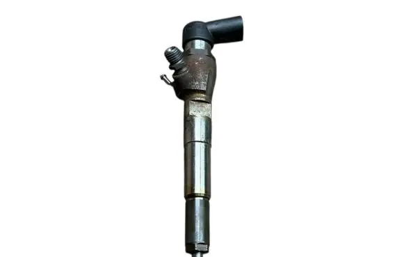 Renault Laguna III Fuel injector 8200903034 166008052R