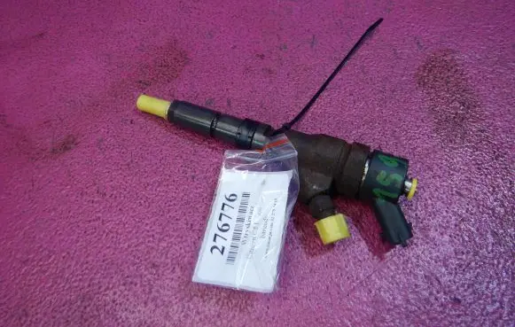 Citroen C5 Fuel injector 0445110076