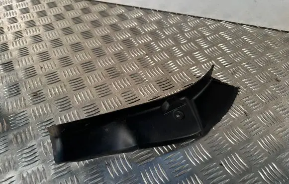 Rear/tail light trim molding