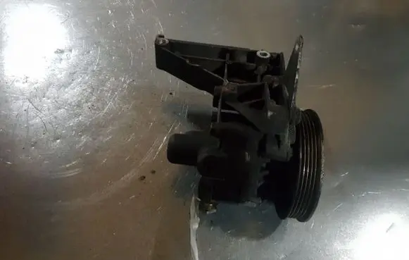 BMW 5 E39 Power steering pump