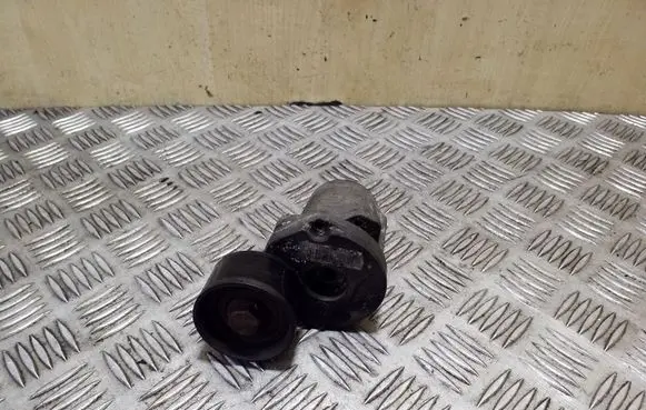 BMW X1 E84 Generator/alternator belt tensioner