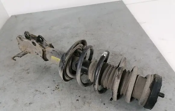 Opel Zafira C Front shock absorber with coil spring 13419912