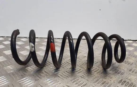 Nissan Qashqai Rear coil spring