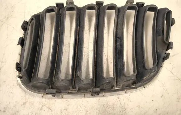 BMW X5 E53 Front grill 51137113738
