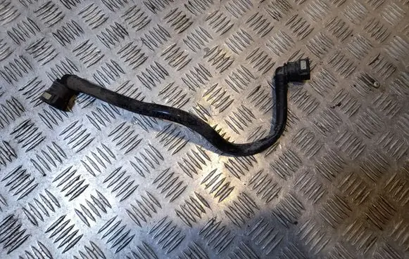 Porsche Panamera (970) Breather hose/pipe 97020134101