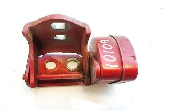 Rear door lower hinge