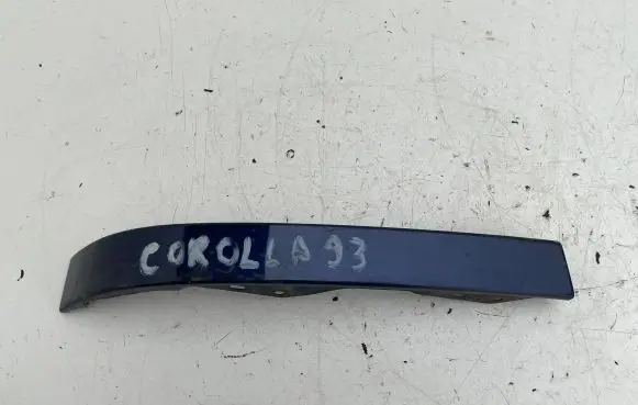 Rear/tail light trim molding