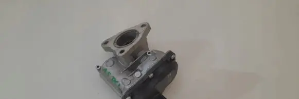 Nissan Juke I F15 EGR valve H8201143495