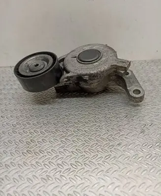 Peugeot Expert Generator/alternator belt tensioner 9816682480 E50118A122150