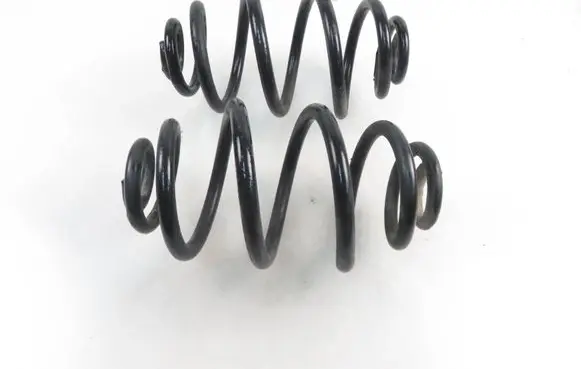 Volkswagen PASSAT B5.5 Rear coil spring 