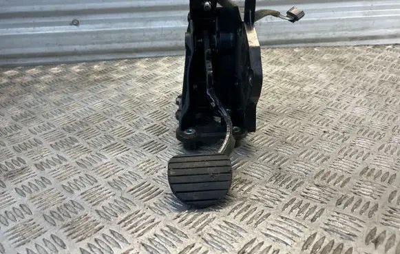 Renault Laguna III Brake pedal 465010003R