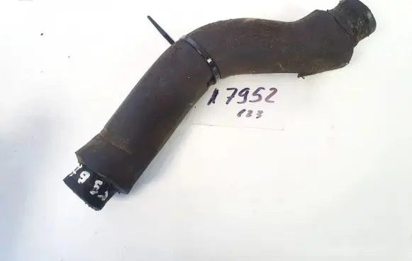 BMW 5 E39 Engine coolant pipe/hose