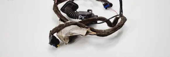 Renault Scenic II - Grand scenic II Front door wiring loom 8200466079 20052005