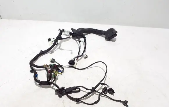 Mercedes-Benz EQS V297 Other wiring loom A2975405824